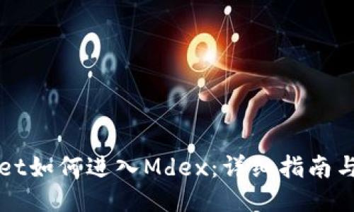 从TPWallet如何进入Mdex：详细指南与使用技巧
