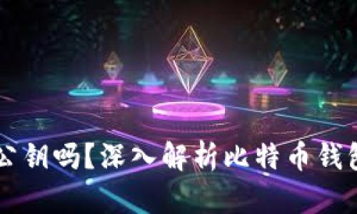 比特币钱包地址是公钥吗？深入解析比特币钱包地址与公钥的关系