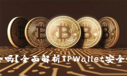 TPWallet授权安全吗？全面解析TPWallet安全性及用户注意事项