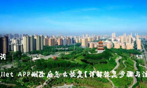 和关键词

: tpwallet APP删除后怎么恢复？详解恢复步骤与注意事项